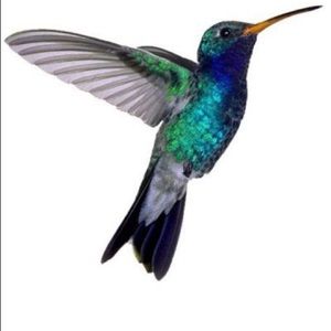 Meet your Posher, Robin